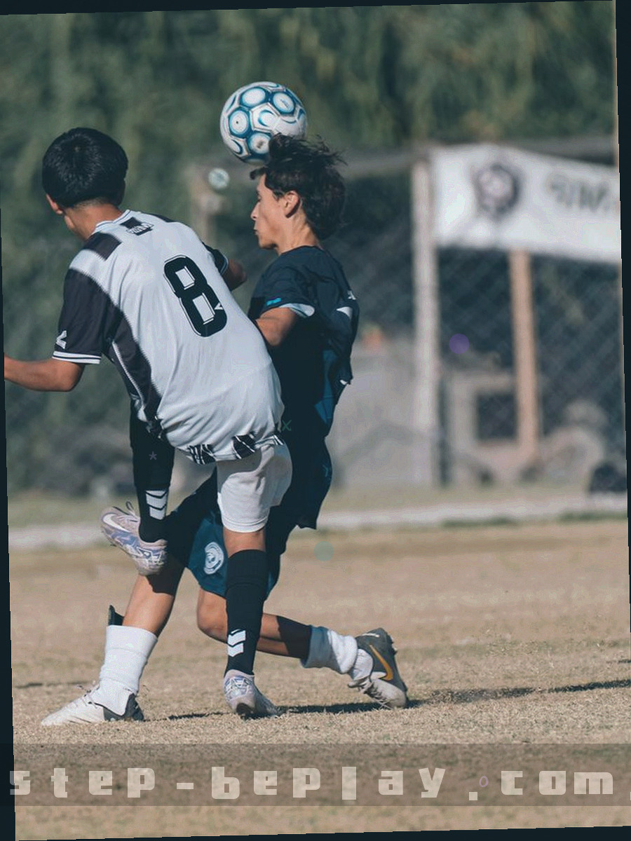 层叠的文件纸面与细密网格线条构成的抽象静物构图